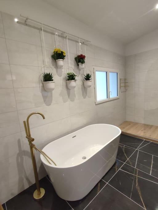 Appartement Le Secret 140M2, Proche Sanctuaires, Climatise Lourdes Exterior foto